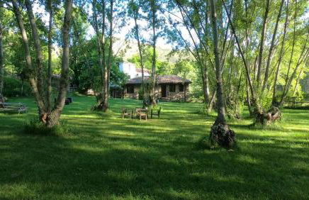 Molino del Corregidor - Foto 20