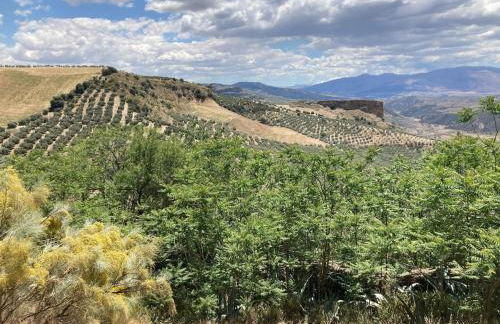 Dehesilla Olive Orchard Retreat - Foto 76