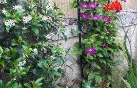 Maison à la Campagne - Foto 51