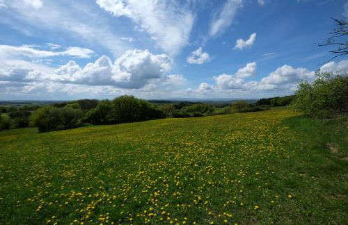altes forsthaus schotten - Foto 36