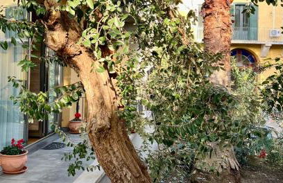 La Corte dei Nespoli - Foto 21