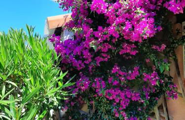 43-2 LES MAISONS DU RIVAGE BLEU - Foto 5