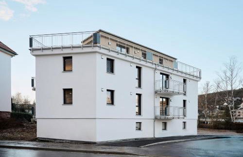 Rent4Living Apartments WLAN I kostenfreie Tiefgarage I Therme 5 Minuten zu Fuß I Barrierearm - Photo 32