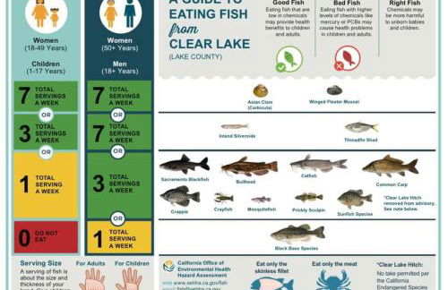 Smiling Otter Retreat! Waterfront/pool/spa/games! - Foto 50