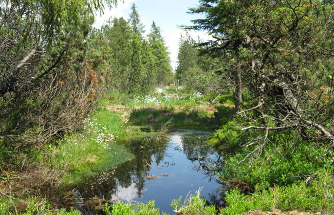 Gutsweg One - Apartment 3 - Foto 33