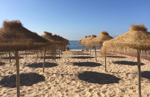 Casa do Hibisco - Foto 32