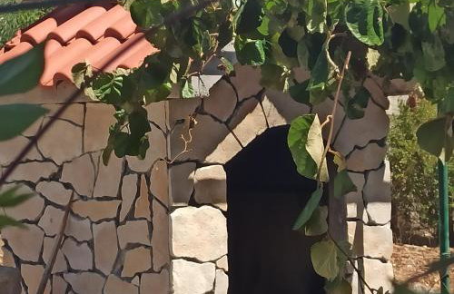 Apartmani Mislav - Photo 49