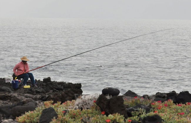 Casa Mar y Sol aan Zee - Foto 9