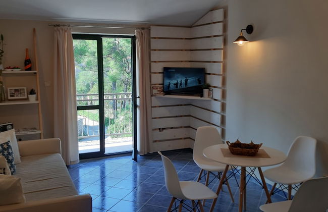 Apartments Vojvoda - Foto 9