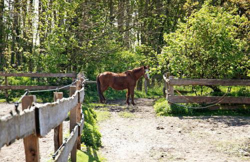 Ferienwohnung Galerie unterm Reet - Foto 22