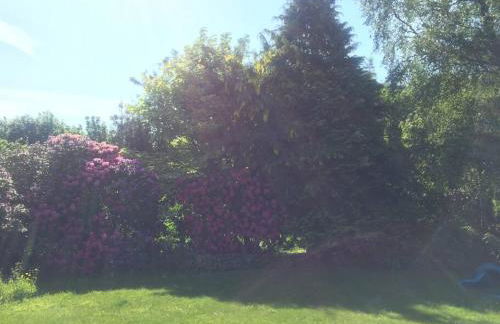 Willow Cottage, Gilchristland Organic Farm - Foto 15