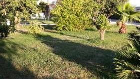 Casa Vacanze nel Verde a 5 Km dal mare - Foto 3, Garden, Garden view