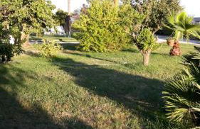 Casa Vacanze nel Verde a 5 Km dal mare - Foto 3