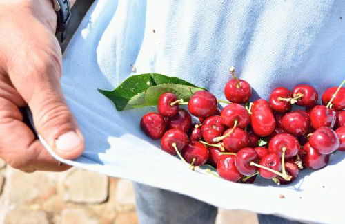 Agriturismo Vecchia Masseria Charme&Relax - Foto 103