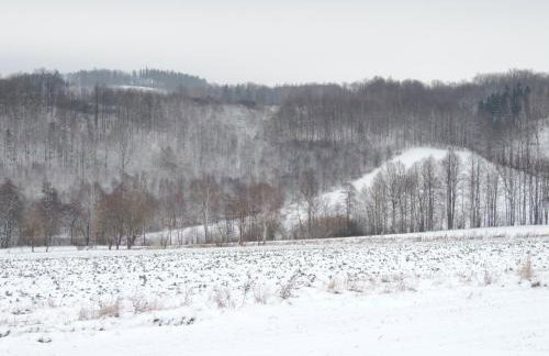 Pod Miotełką - Foto 3