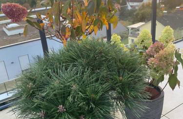 PenthouseBlick - Foto 8