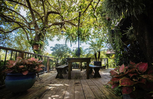 Quinta Pavo Real Complex by Acomodo - Photo 21