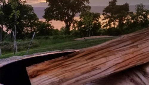 Single Island Shores - Foto 2