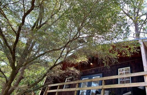 Modern Treehouse Rental with Pool for Glamping in Florida - Foto 20