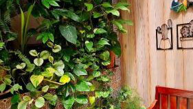 Ôxente que lugar arretado! - Photo 3