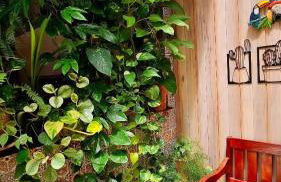 Ôxente que lugar arretado! - Photo 3