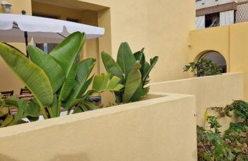 Casa da Açoteia - Bright City Center Apartment with a Private Outdoor Terrace - Foto 41