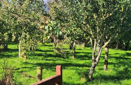 3 Bed in Kirkcolm oc-b34009 - Foto 25