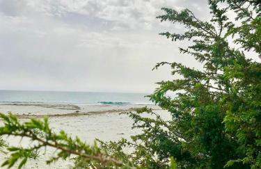 all ombra dei pini - Foto 22