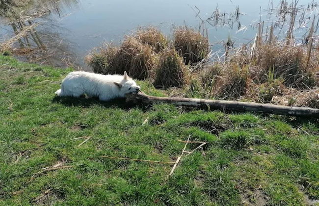 Ferienwohnung mit Terrasse in Kropelin - Foto 32