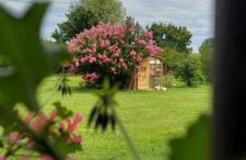 Corte Ventaglio - Foto 19