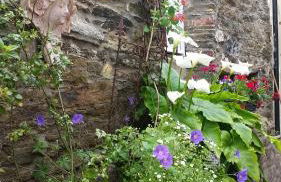 Reed's of Fowey - Foto 10