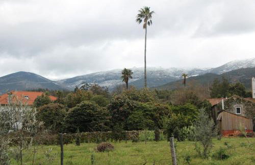 Quintal do Forno l Casa da Hera - Foto 27