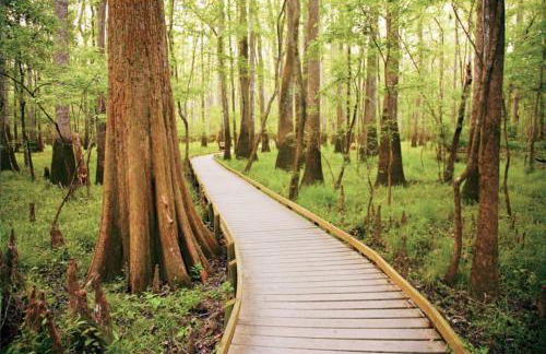 Urban Farmhouse-Sleeps 8 - Foto 20