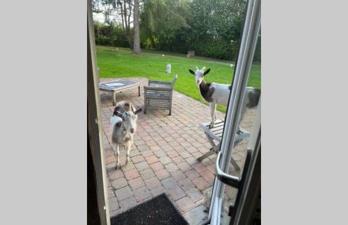 Les Gites de Claire - Foto 38