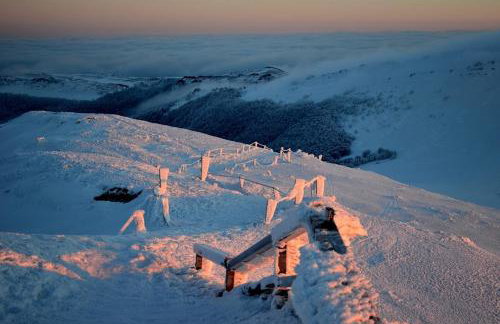 Gawra Gustawa - Foto 28