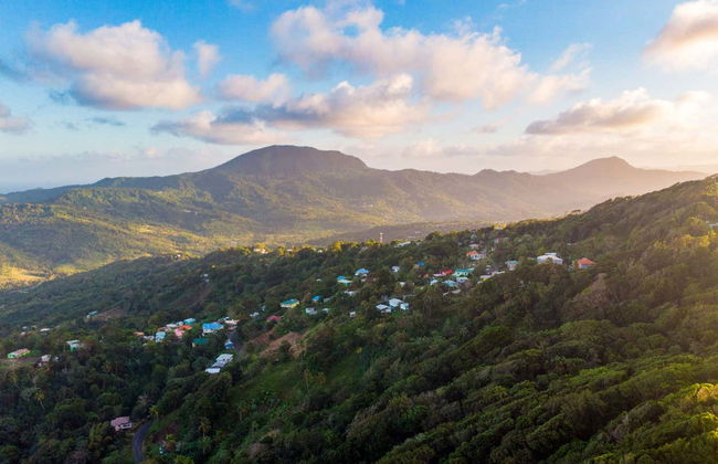 Birdwatching a Castries Waterworks - Foto 6