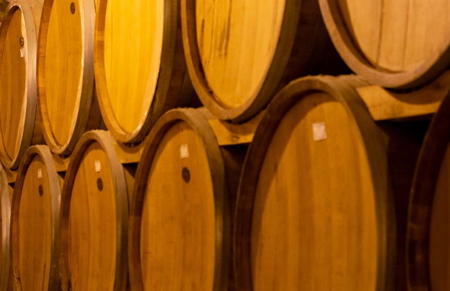 Excursão à Vinícola Concha y Toro - Photo 1