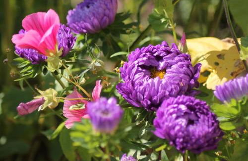 Ferienwohnung mit Garten in Zweedorf - Foto 79