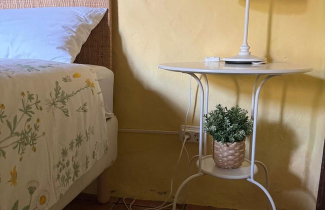 Oasis Hill Botanical Garden - Foto 17