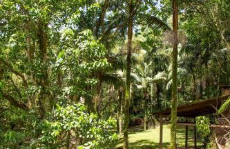 Canto da cascata - Foto 53