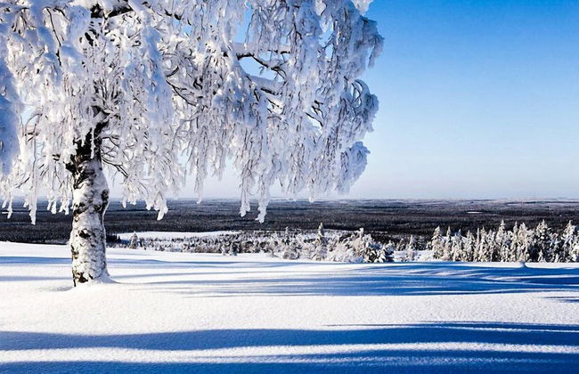 Hotel Katkavaara Aurora Apartments - Foto 56