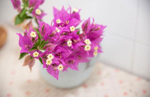 Villetta Ginepro - Foto 27