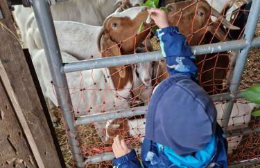 Tiny Bauernhof Plau - Foto 26