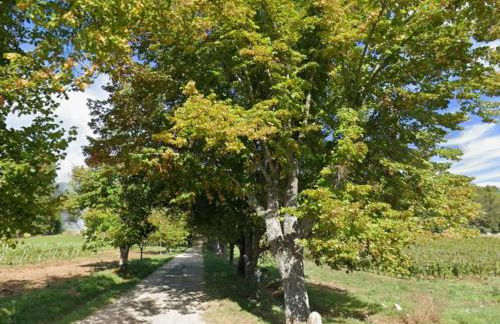 Domaine familial la marjoline - Photo 33