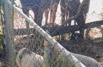 Happy Place near WEC , Natural Springs,Zip-Line - Photo 30