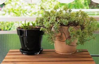 Tiny Studio Suite - Foto 10