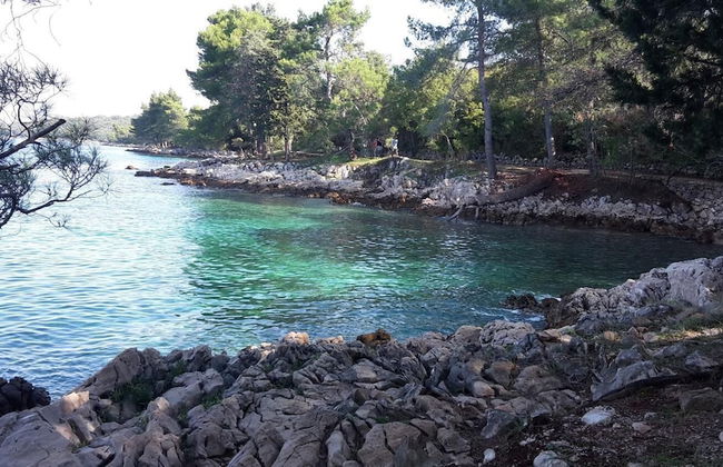 Apartment Blumen Oase - Foto 30