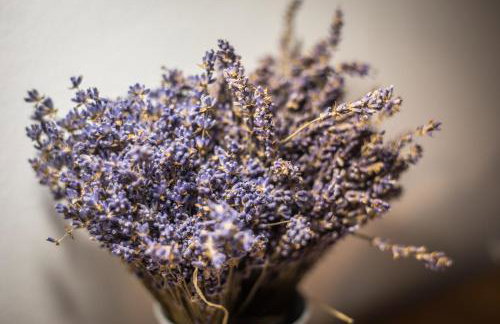 Apartman Magnolia - Foto 42