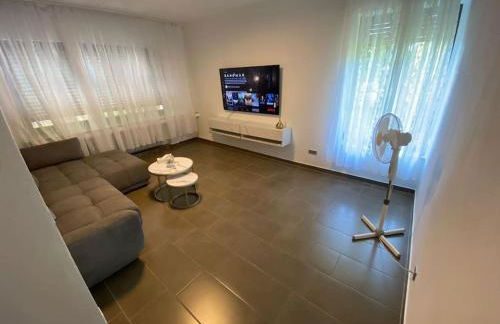 Ferien-Villa direkt am Rhein Sauna/Whirlpool - Foto 16