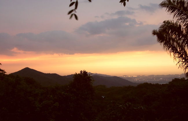 Sol de minca - Photo 29